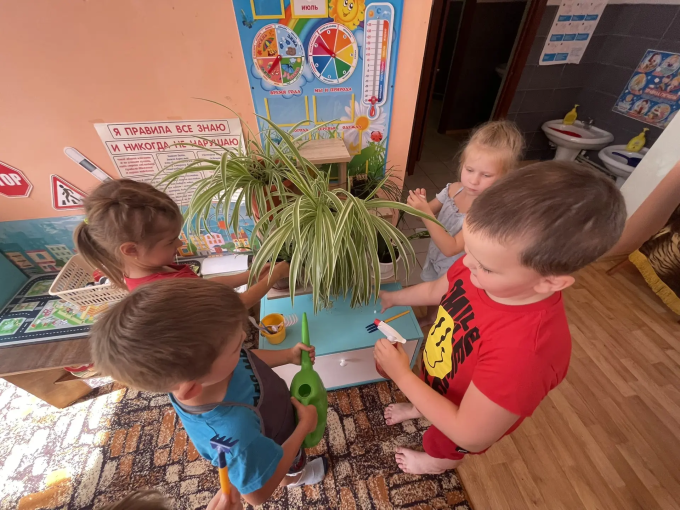 Уход за комнатными растениями Уход за комнатными растениями.